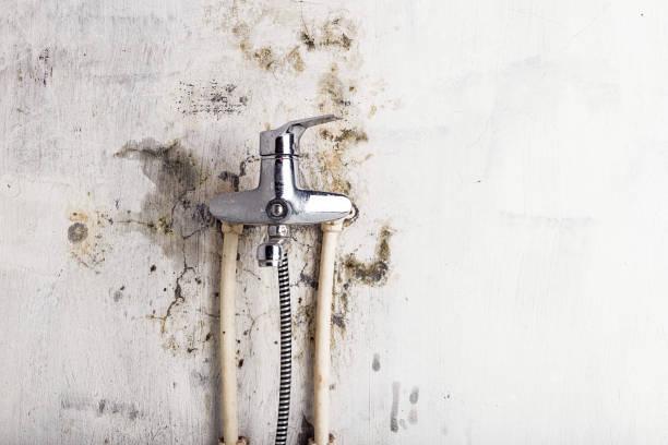 Water Damage Restoration in Columbia City, OR