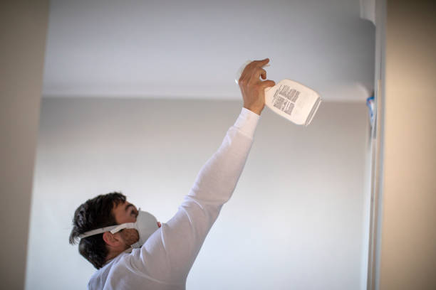 Best Residential Mold Removal  in Columbia City, OR