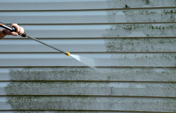 Best Mold Removal and Inspection  in Columbia City, OR