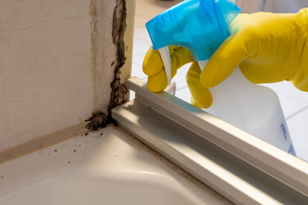 Best Water Damage Restoration  in Columbia City, OR