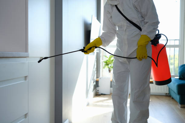 Best Commercial Mold Removal  in Columbia City, OR