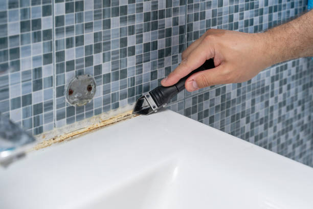 Best Fast Mold Removal  in Columbia City, OR