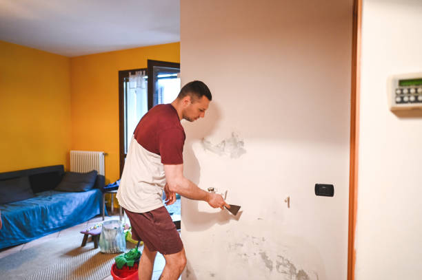 Best Mold Remediation  in Columbia City, OR
